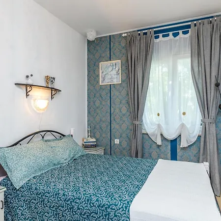 Dog Friendly M - Happy * Drazice