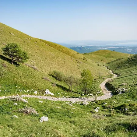 Cozy With Private Garden - Happy Apartment *